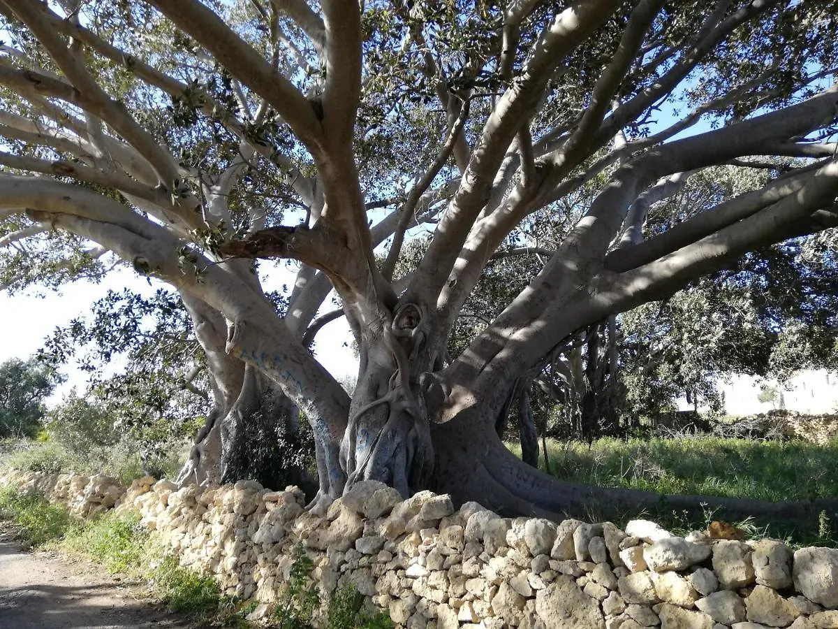 Villa Donato Ragusa Italië